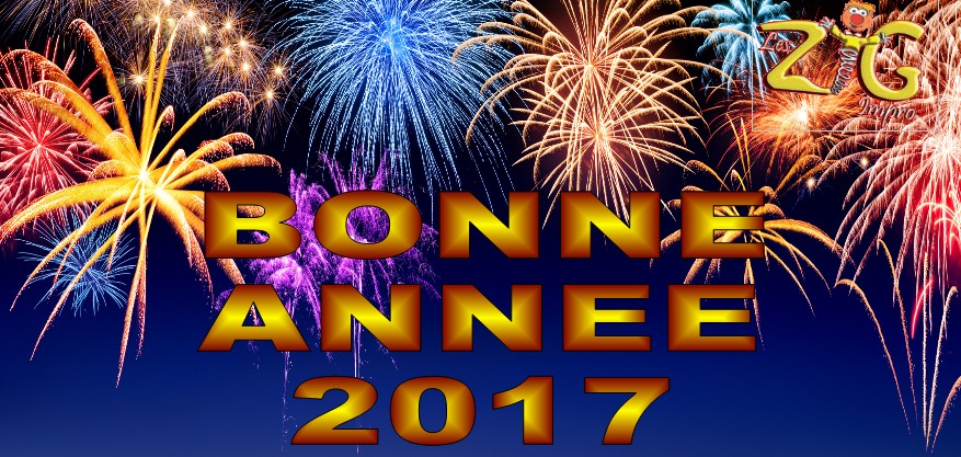 2017-BONNE-ANNEE